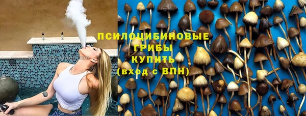 дурь Богородск