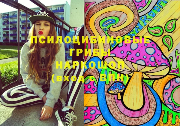 героин Богданович