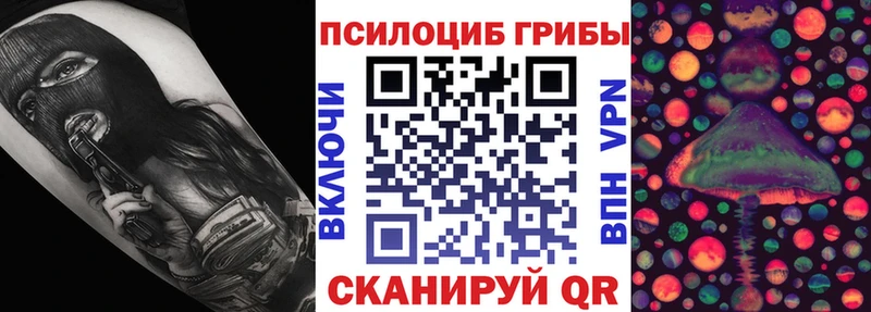 Псилоцибиновые грибы Psilocybine cubensis Когалым